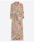 California Printed Shirt Dress
