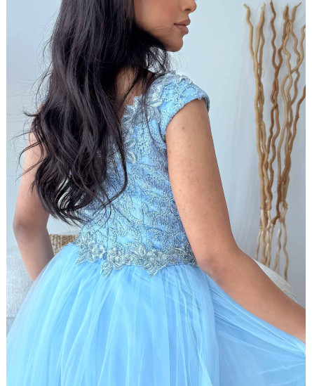 Elegant Deep V-Neck Sleeveless Mesh Long Dress