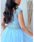 Elegant Deep V-Neck Sleeveless Mesh Long Dress