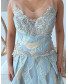 Pleated Gown with V Neckline and Tonal Embroidery