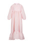 Fairy Dress Rose
